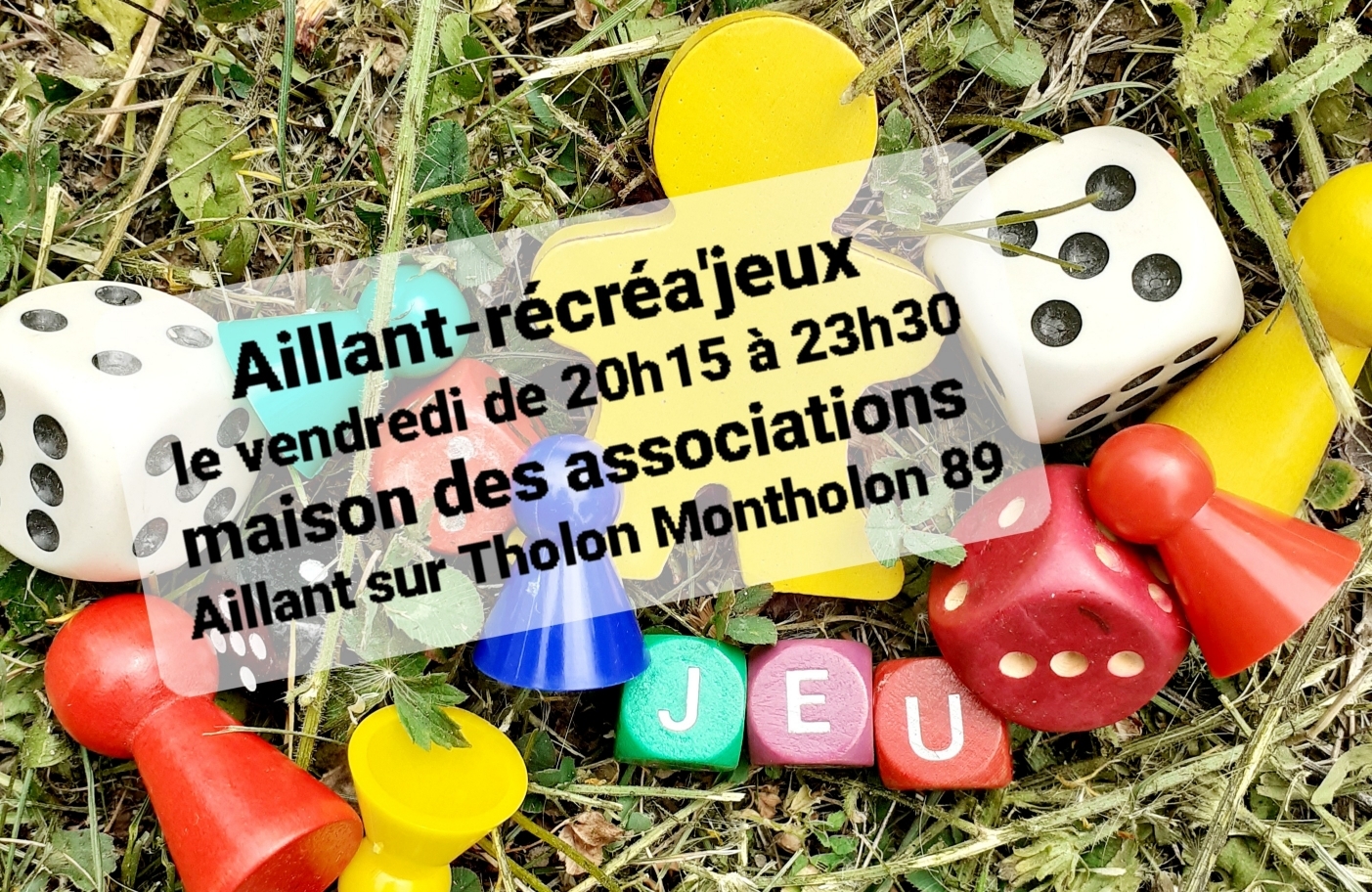AILLANT-RECREA'JEUX ; jeux de société à volonté le vendredi soir à Aillant/Tholon Montholon 89
